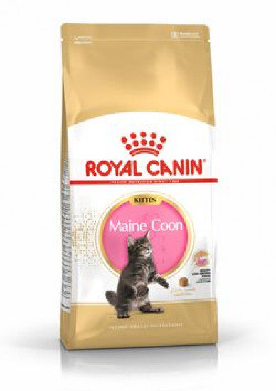  Сухий корм Royal Canin Maine Coon для кошенят породи мейн-кун 4кг