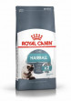 Сухий корм Royal Canin Hairball Care для кішок шерстевиводящій 10кг