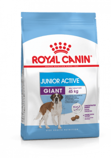 Сухий корм Royal Canin Giant Junior Active для активних цуценят гиганські порід (від 8 до 18/24 міс) 15кг